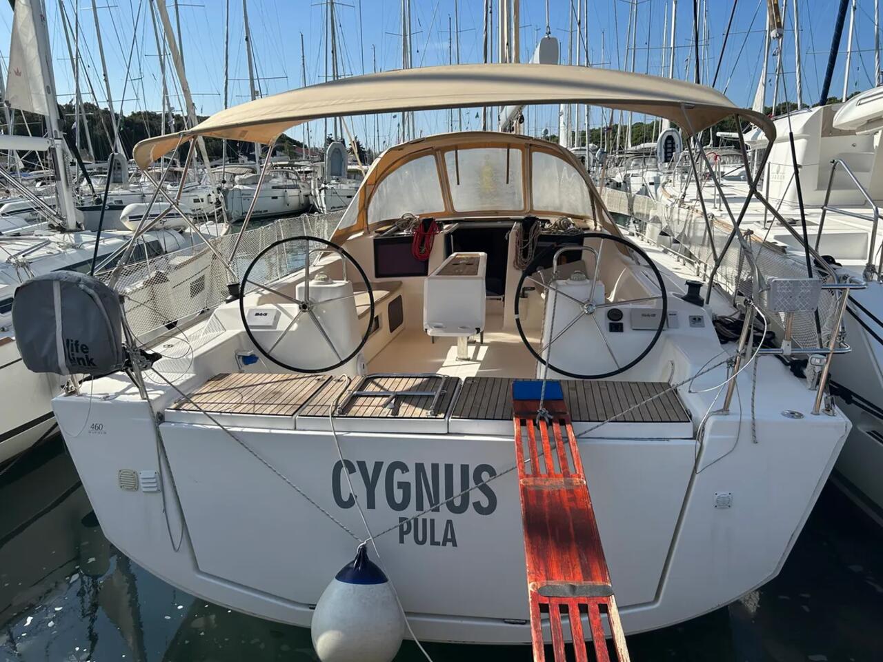 Cygnus
