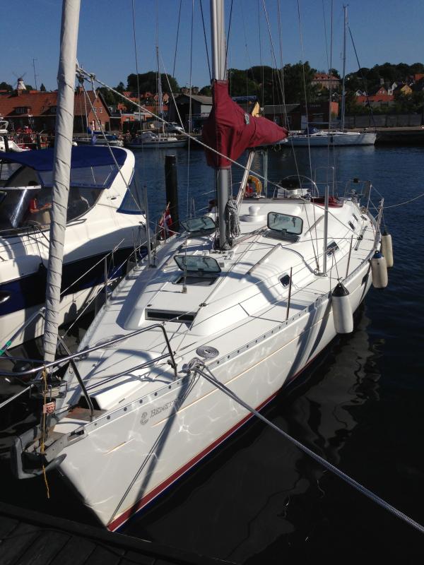 Albatross