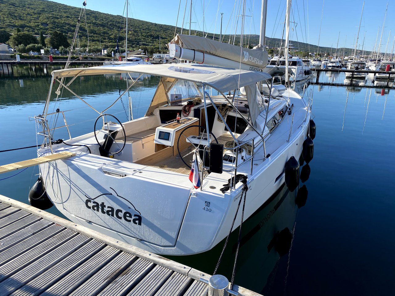 Catacea