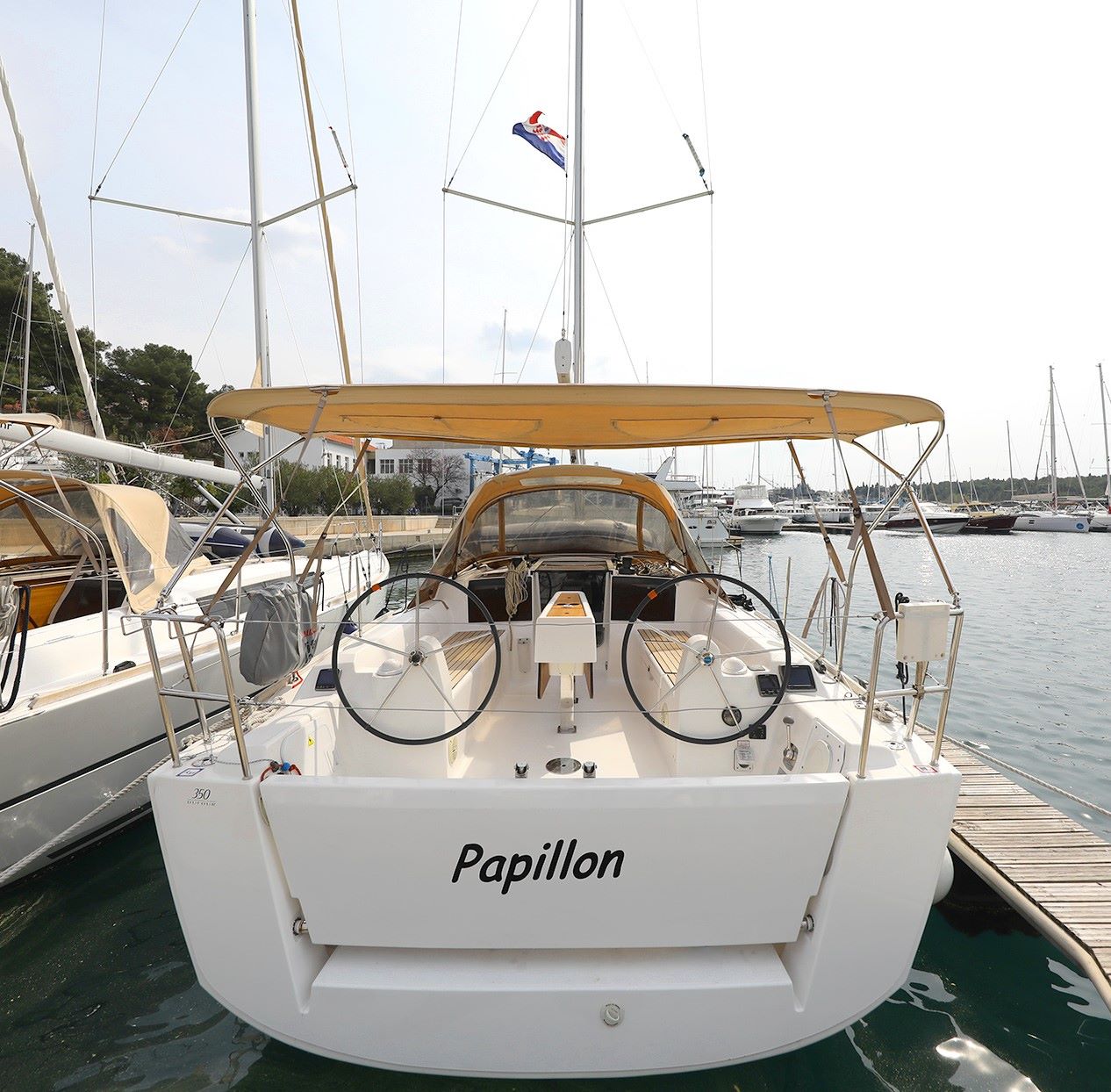 Papillon