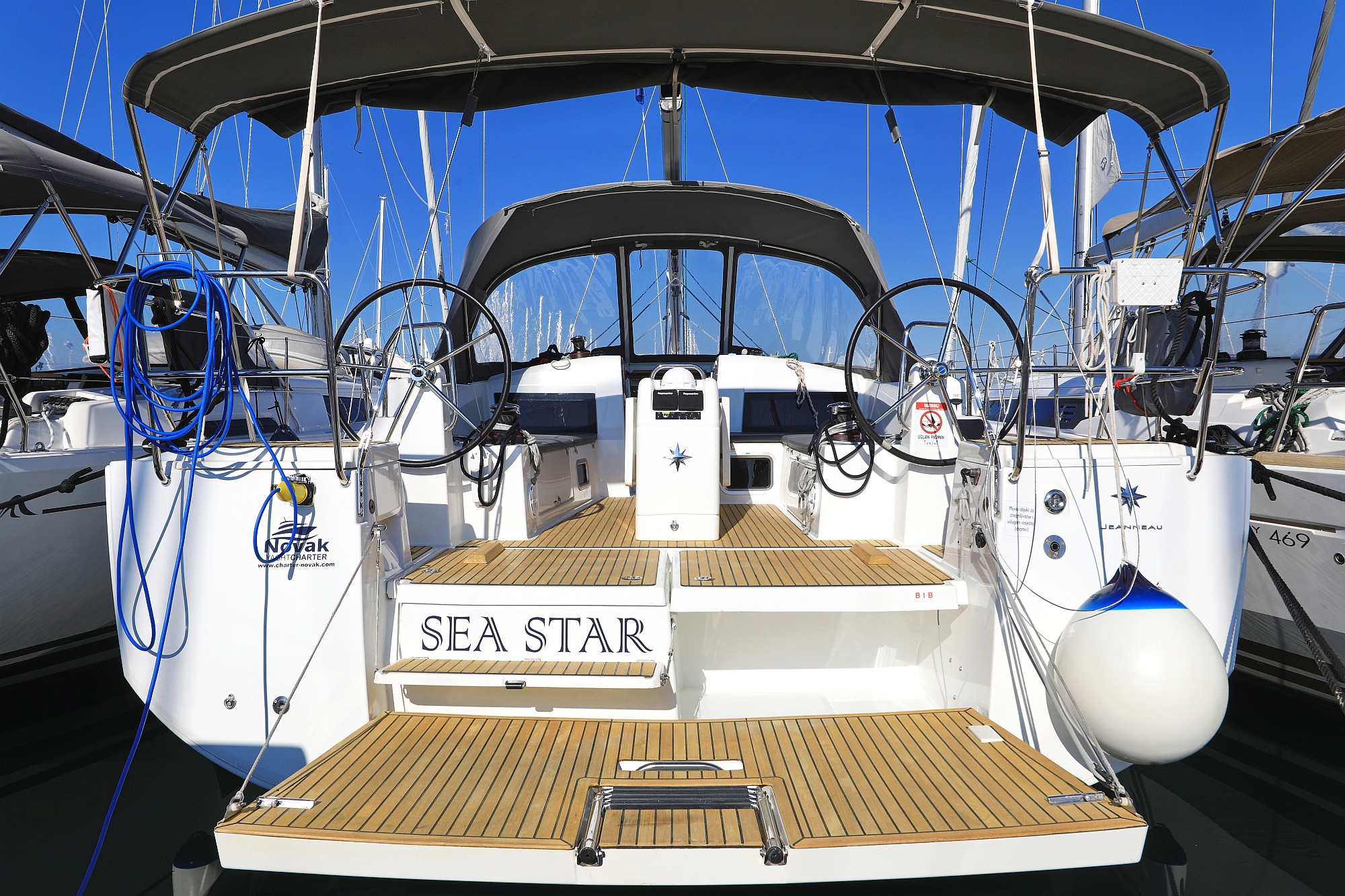 Sea Star