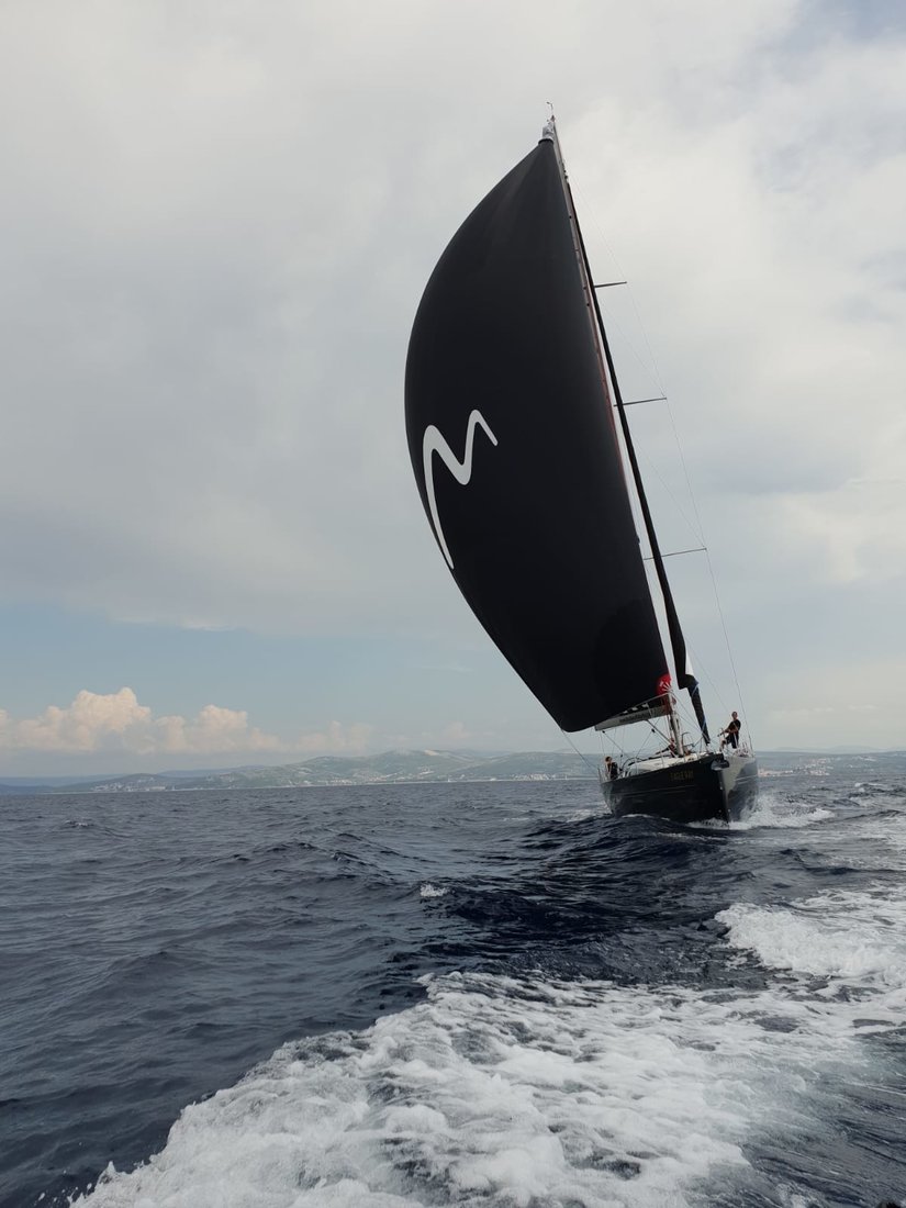 Manta Ray - Black Edition
