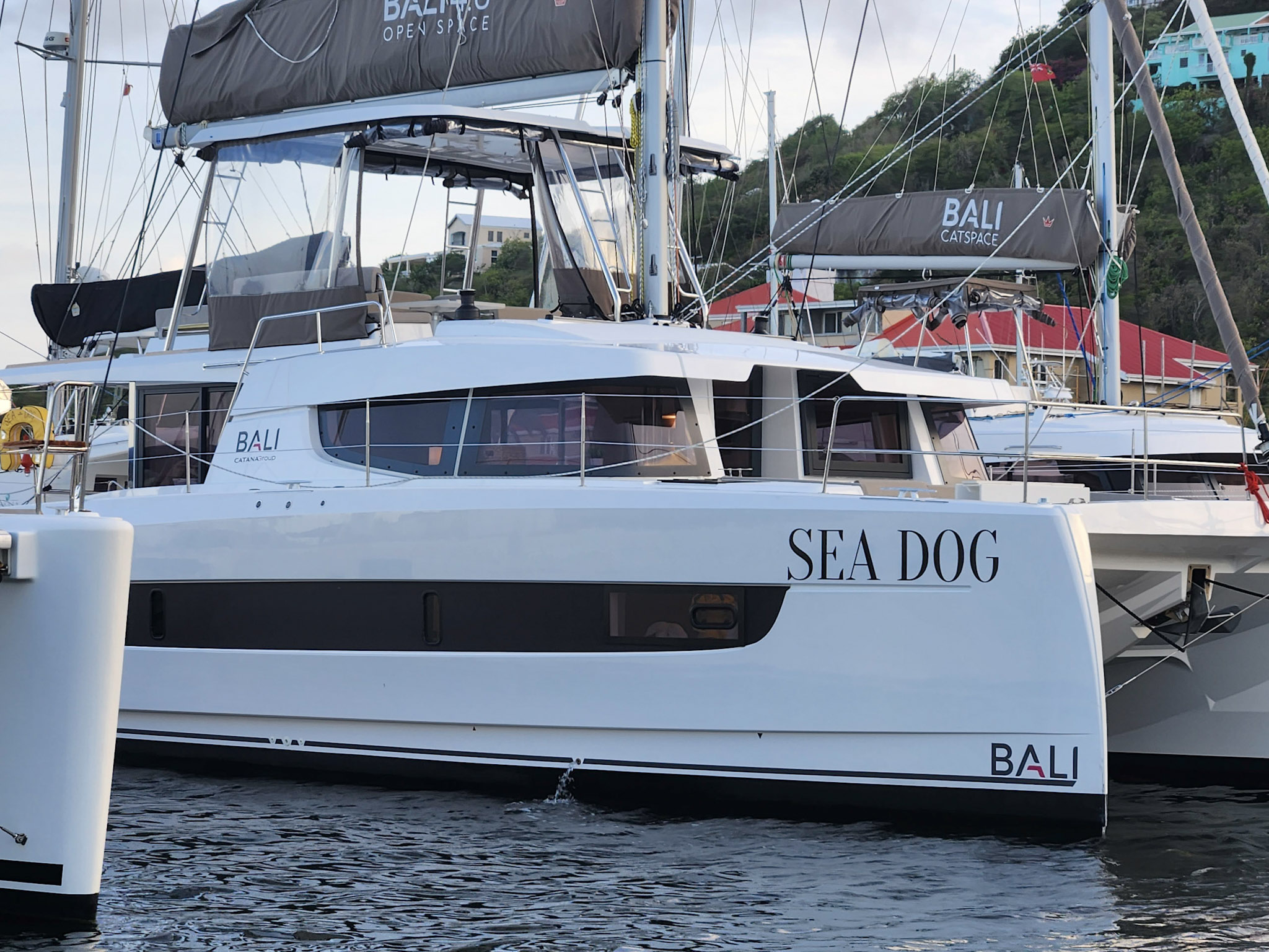 Sea Dog